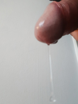 Pieno pieno