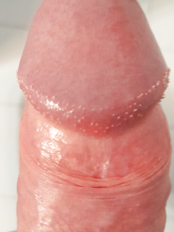 Che ve ne pare? Parte 3