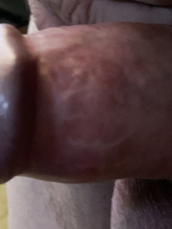 Il mio piccolo amico