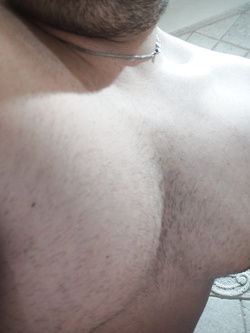 Bello carico