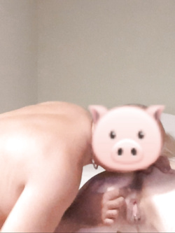 Vacca rumena scopata a pecorina