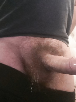 Pronto Parte 2