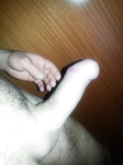 IL MIO SALSICCIOTTO