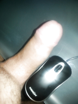 IL MIO SALSICCIOTTO