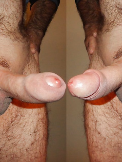 IL MIO CAZZO (MISURA MEDIA)