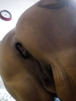 Signora 64anni culone, ficona grande