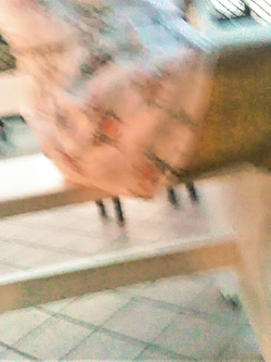 Scatti rubati