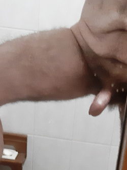 Porco a cazzo duro