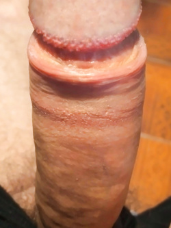 MY DICK