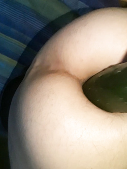 cucummar fuk self