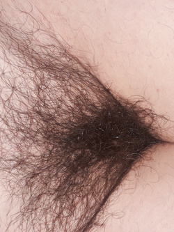 pussy