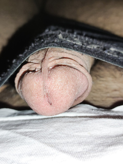My dick precum