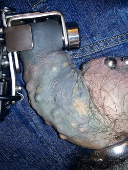 Lei mi vuole così, sempre fedele!