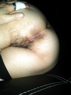 La mia compagna pelosa