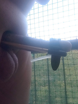 estensore  per Giacomino