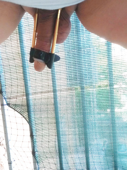 continuo a estendere Giacomino