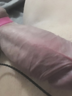 Cazzo Pulsante