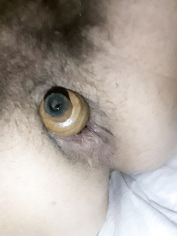 dildo8