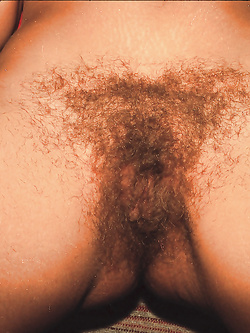 La bellissima fica pelosa