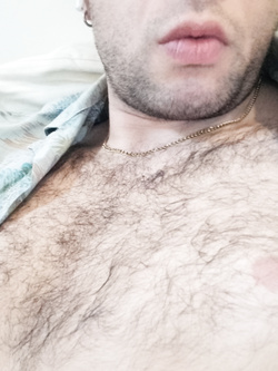 Italiano cock