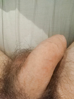 Sborratore