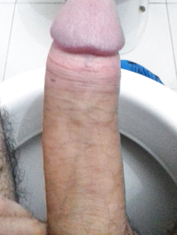 Il mio membro