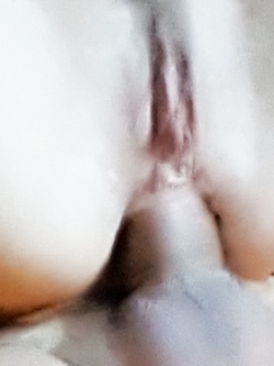 porca Parte 3