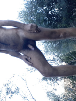 Nudo all'aperto