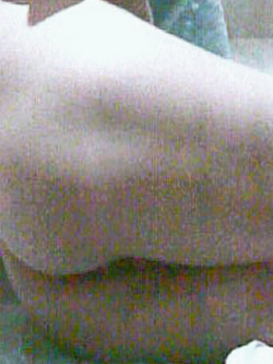 terzo diario di una porca..... .. ..2016-2026