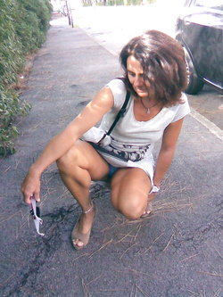 moglie troia