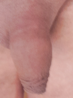 Mostro il mio pene in diverse situazioni.