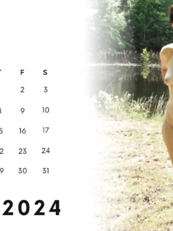 Calendario di Rosa