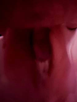 Un voto alla donna delle pulizie