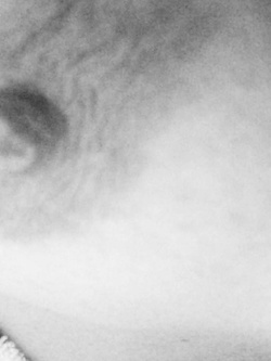 Lorna: la mia splendida porcona albanese