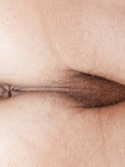 ass 3 Parte 5