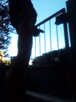 Porcellino esibizionista