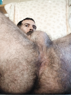 Il buco del culo