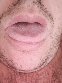 Compagnia?