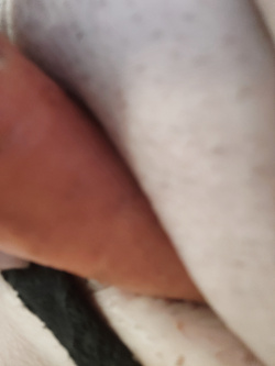 VARIE Parte 2