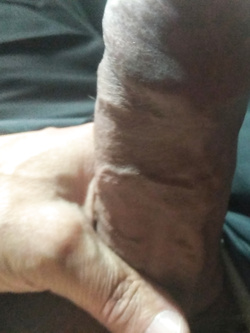 Palle e Cazzo
