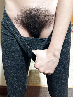 Pelo morbido