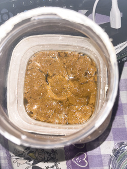 Cacca con pipì