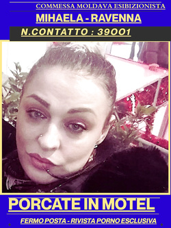 mikaela - vacca moldava di cervia