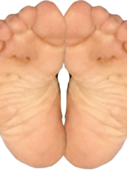 Piedi delle Gran Troie Porche Segaiole