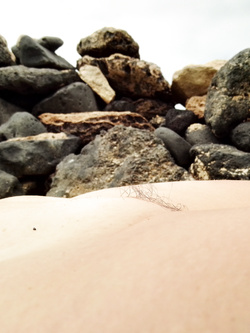 Canarie