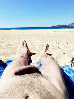 Canarie