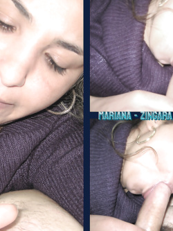 mariana - zingara porcella di bo
