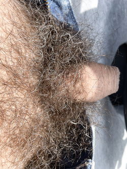 BISEX