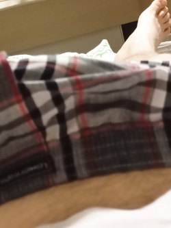 Il mio bel pisello