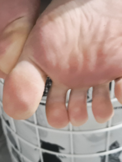 Foto dei miei piedi e gambe con calze nere